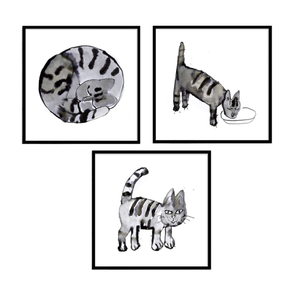 CATS